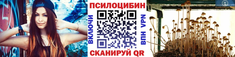 Псилоцибиновые грибы Psilocybine cubensis kraken как войти Шебекино