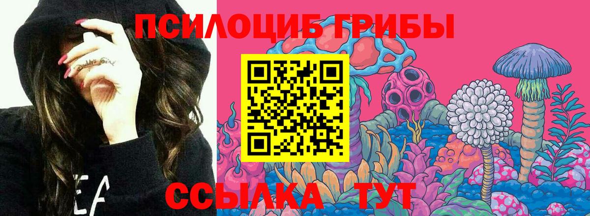 Галлюциногенные грибы Cubensis  Вход с VPN  Шебекино  Псилоцибиновые грибы Psilocybine cubensis 